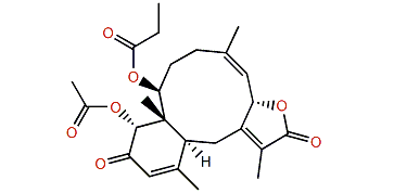 Anthoptilide C